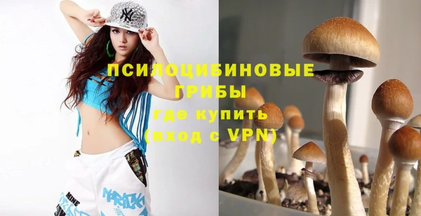 молекула духа Каменка