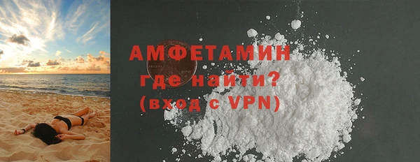 молекула духа Каменка