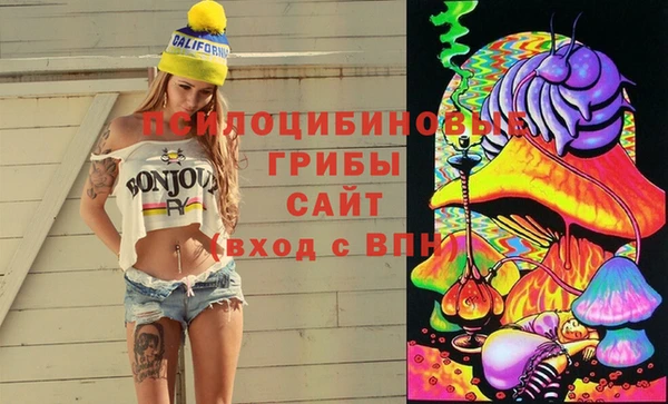 молекула духа Каменка