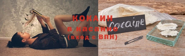 молекула духа Каменка
