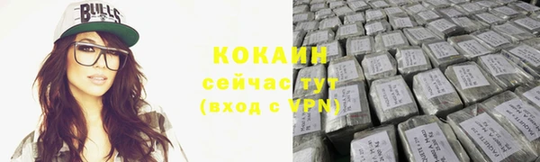 молекула духа Каменка