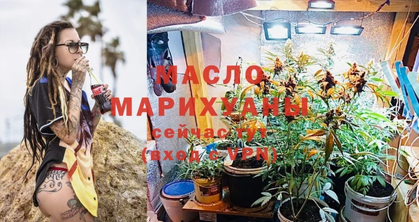 молекула духа Каменка