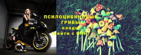 трава Каменногорск